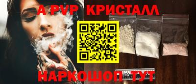 соль ск Кингисепп