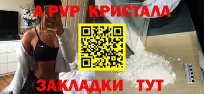 соль ск Кингисепп