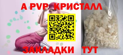соль ск Кингисепп