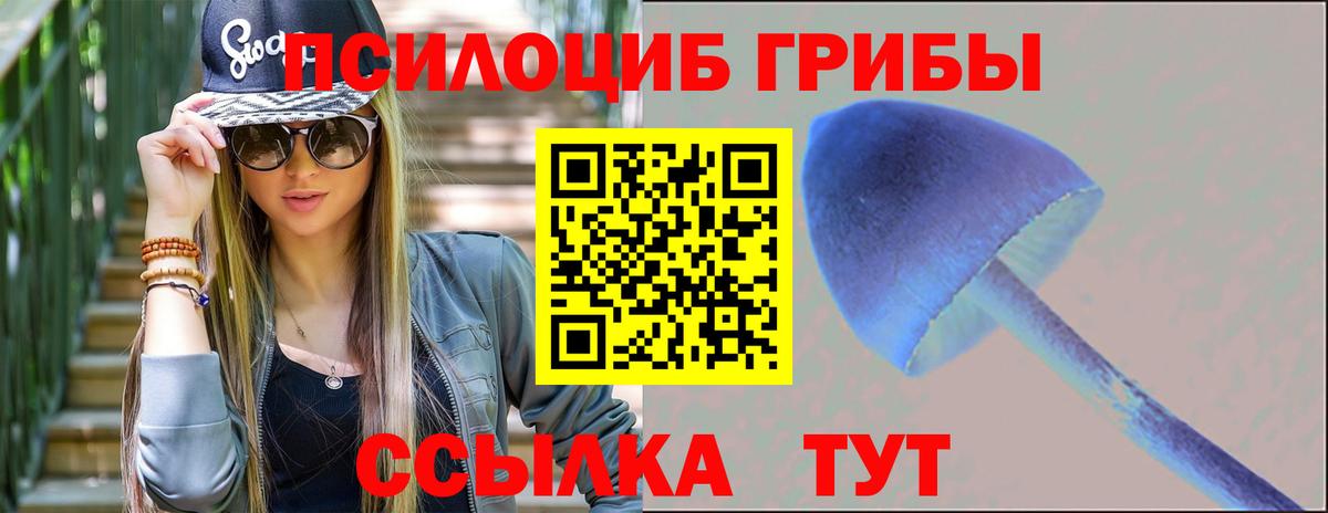 Галлюциногенные грибы Psilocybe  Вход с VPN  Корсаков 